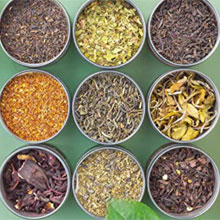 Coonoor Tea House